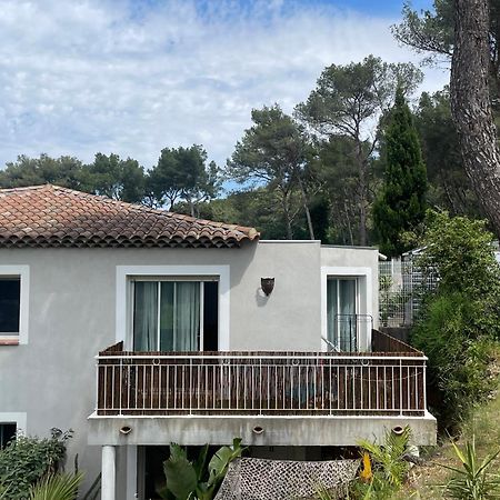 Appartement Proche Des Plages Carqueiranne Bagian luar foto